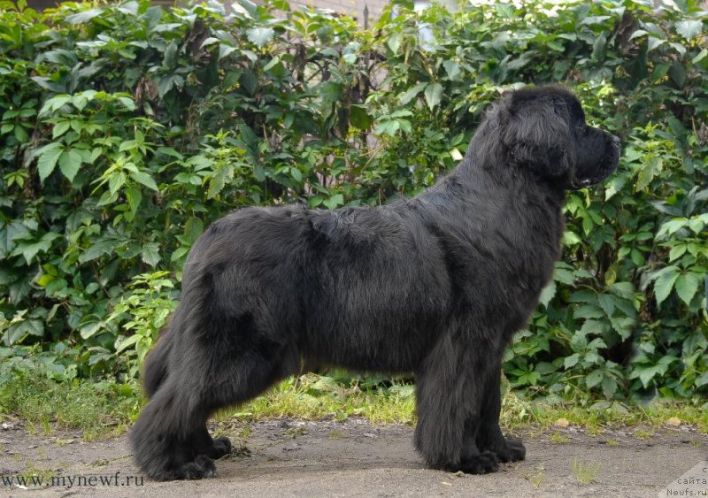 Фотография № 163747