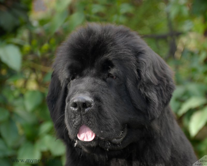 Фотография № 163751