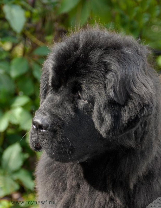 Фотография № 163754