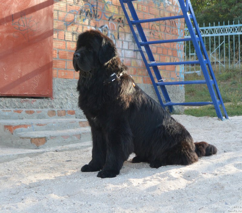 Фотография № 163756