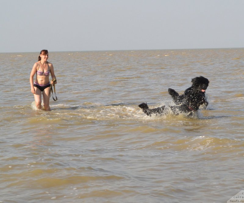 Фотография № 163757