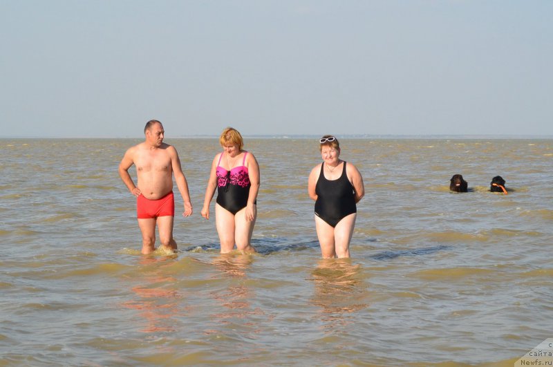 Фотография № 163760