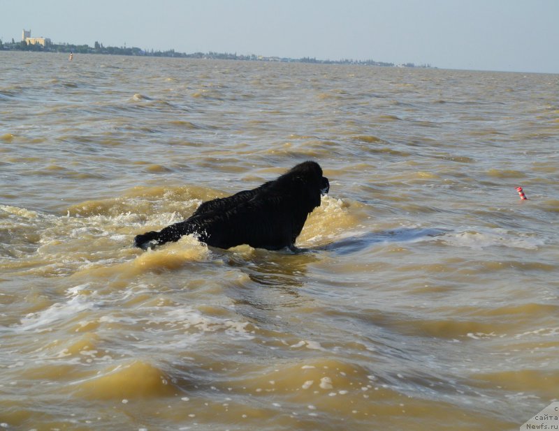 Фотография № 163762