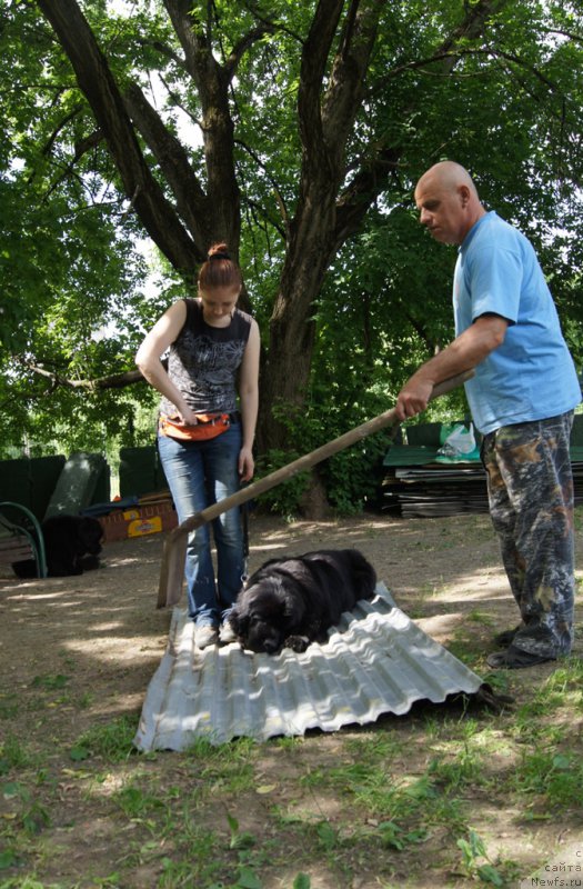 Фотография № 163763