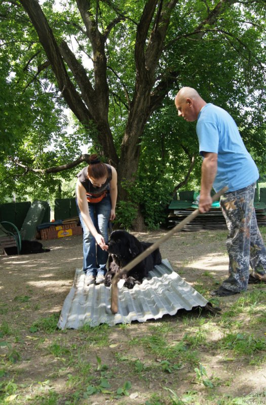 Фотография № 163766