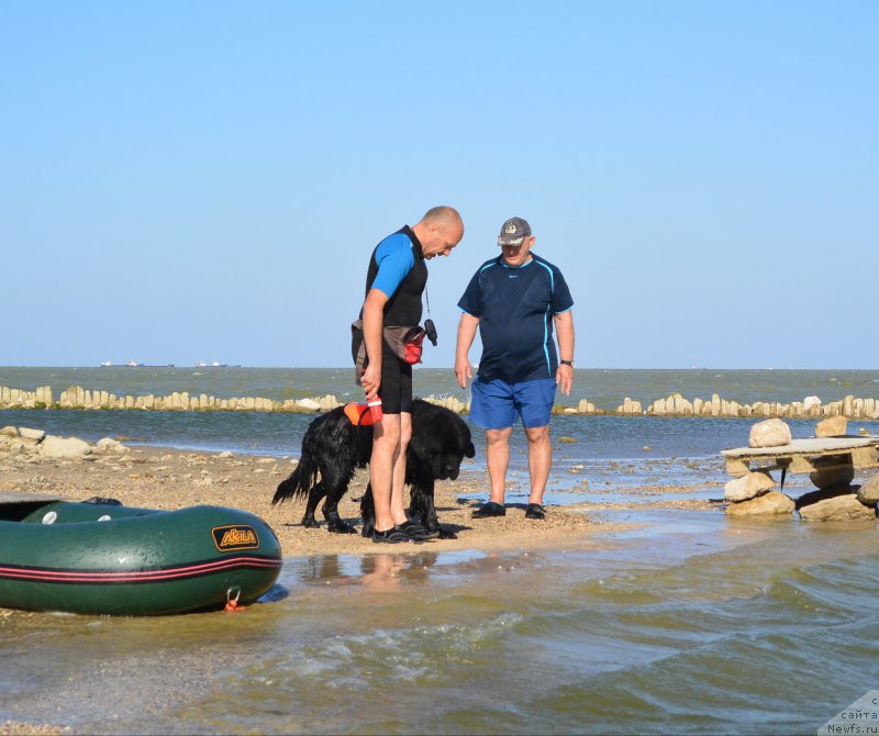 Фотография № 163772