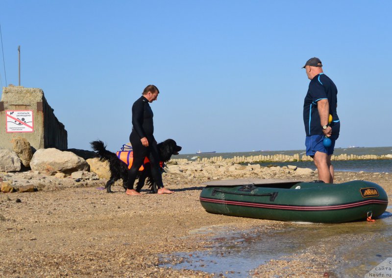 Фотография № 163773