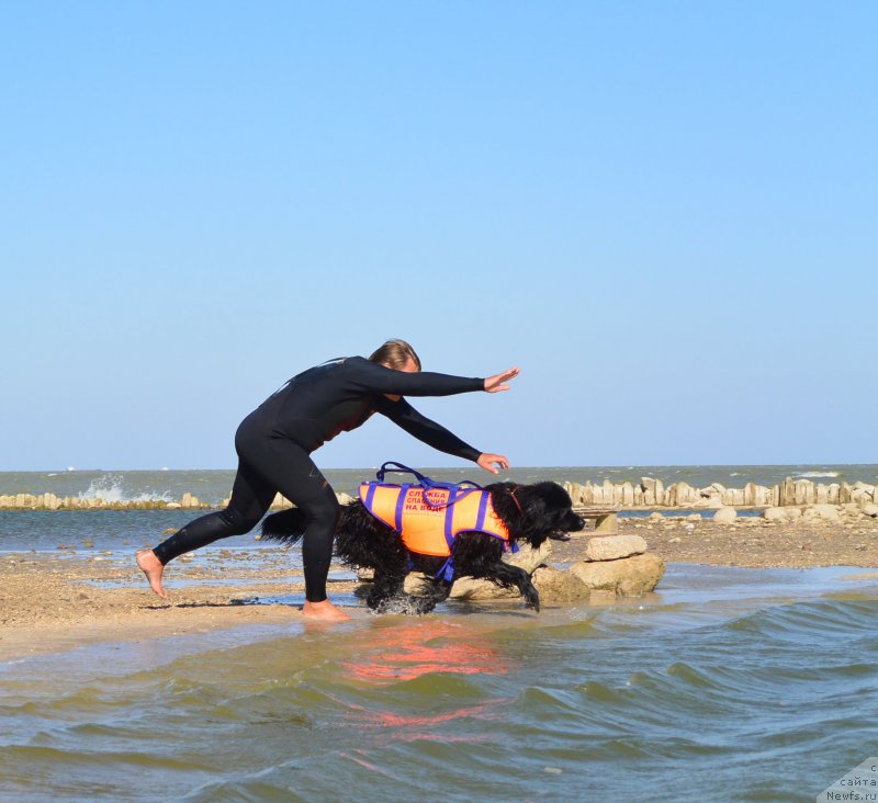 Фотография № 163775