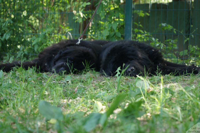 Фотография № 163781