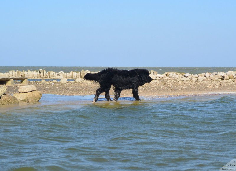 Фотография № 163784