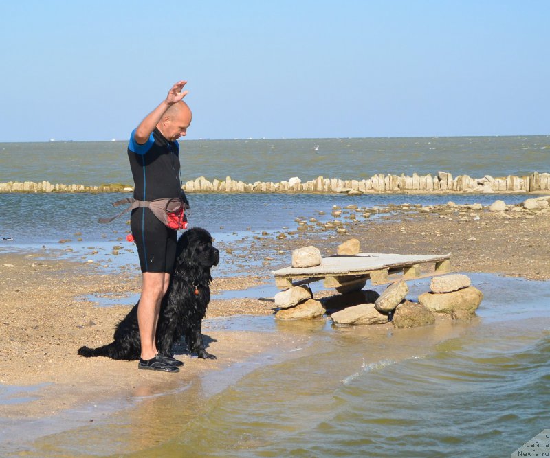 Фотография № 163785