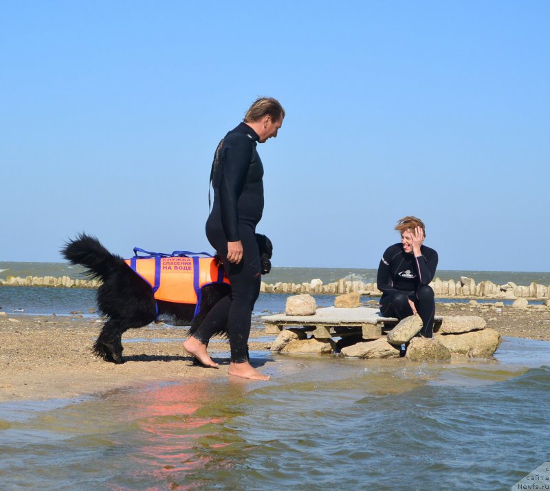 Фотография № 163786