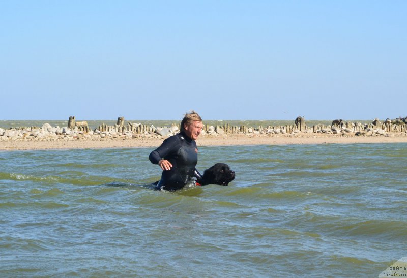 Фотография № 163787