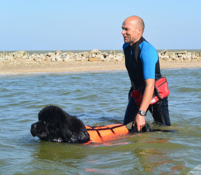 Фотография № 163789