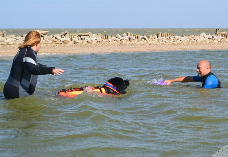 Фотография № 163790