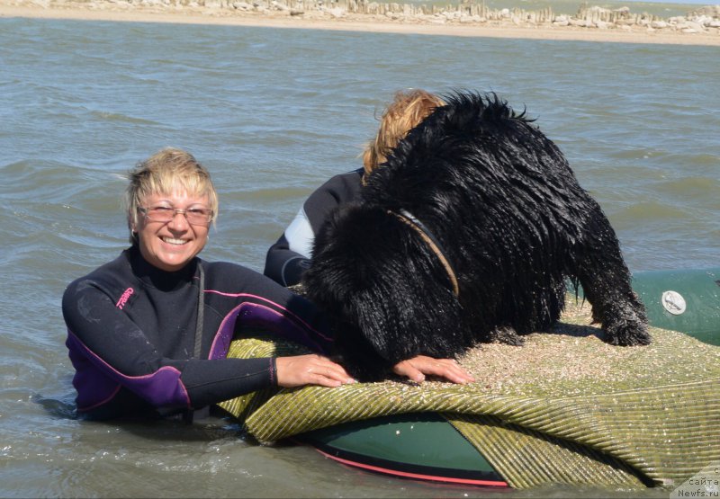 Фотография № 163791