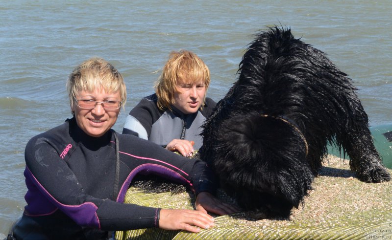 Фотография № 163792