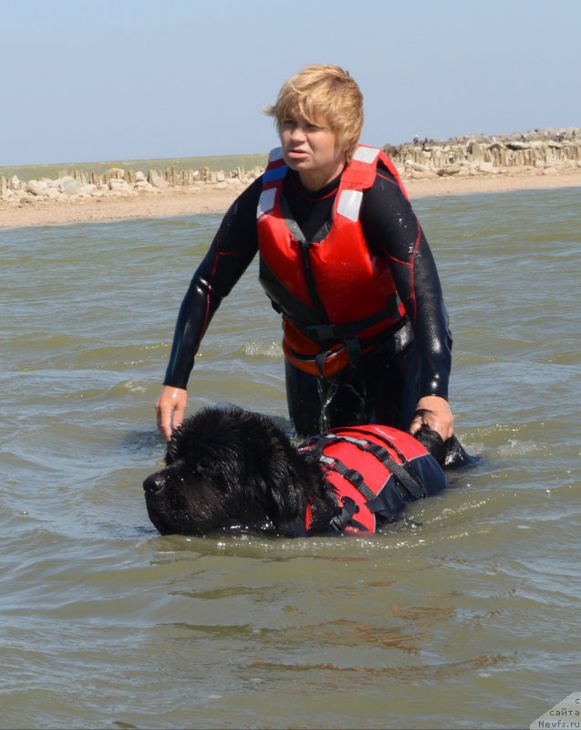 Фотография № 163794