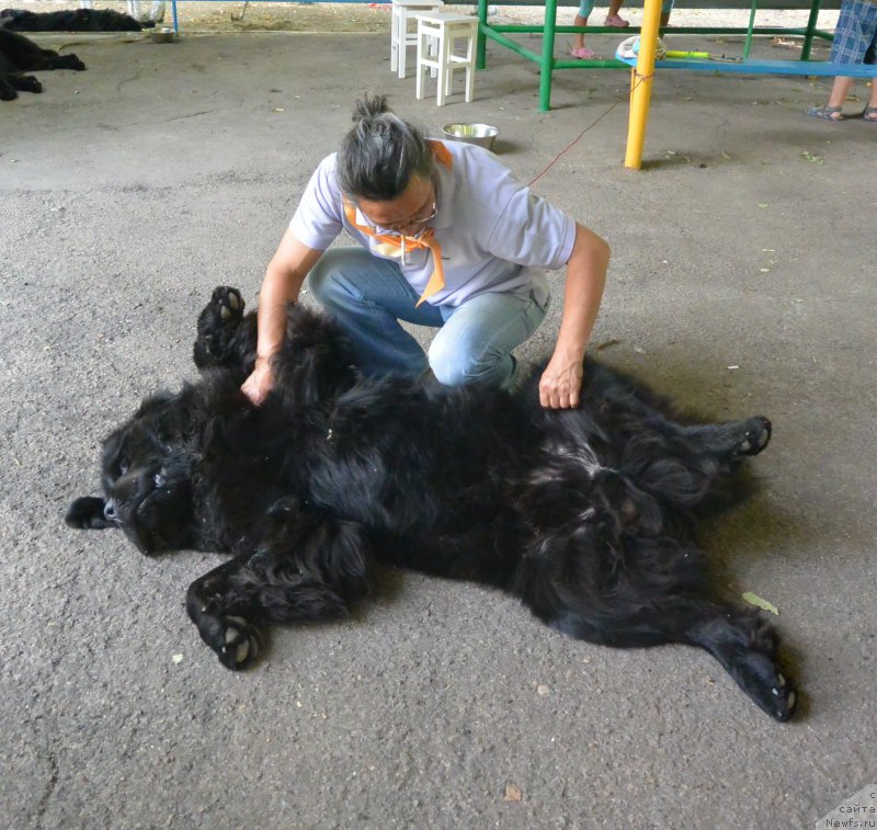 Фотография № 163795