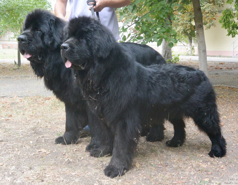 Фотография № 163796