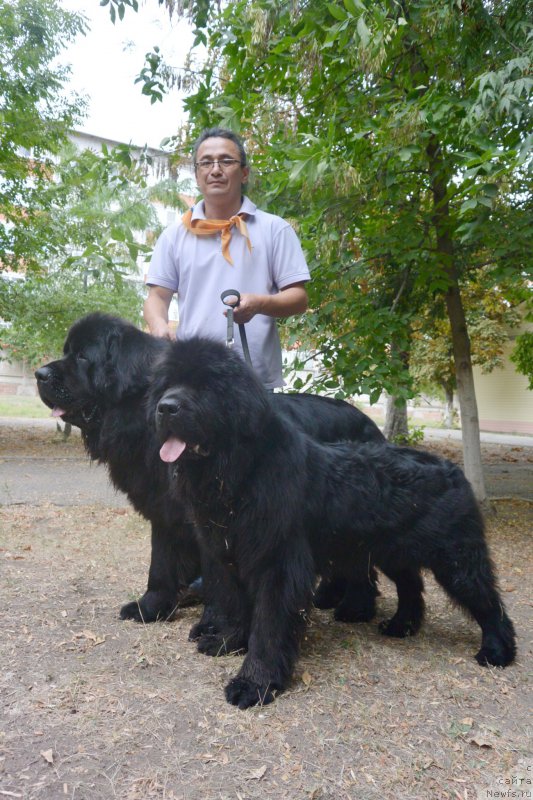 Фотография № 163797