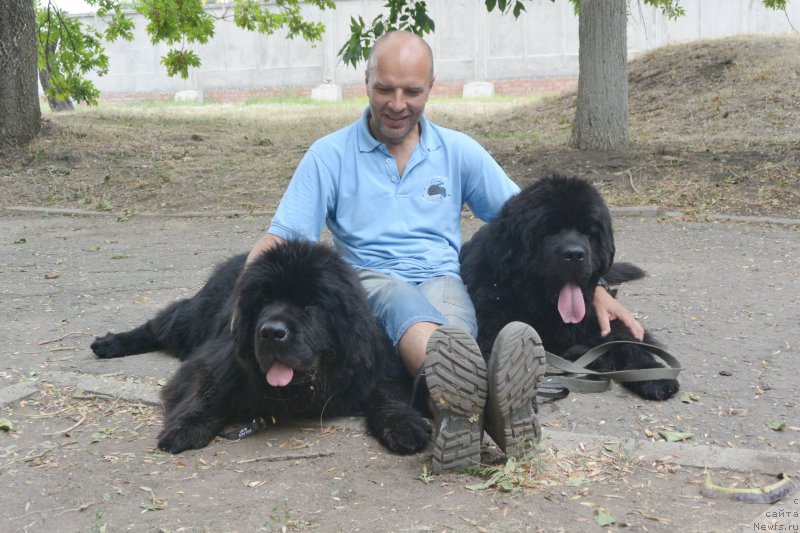 Фотография № 163798