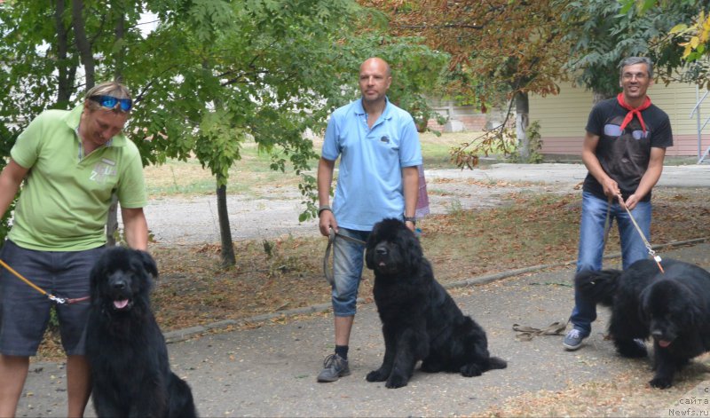 Фотография № 163800