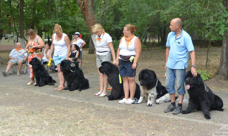 Фотография № 163801