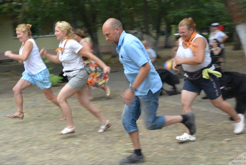 Фотография № 163802