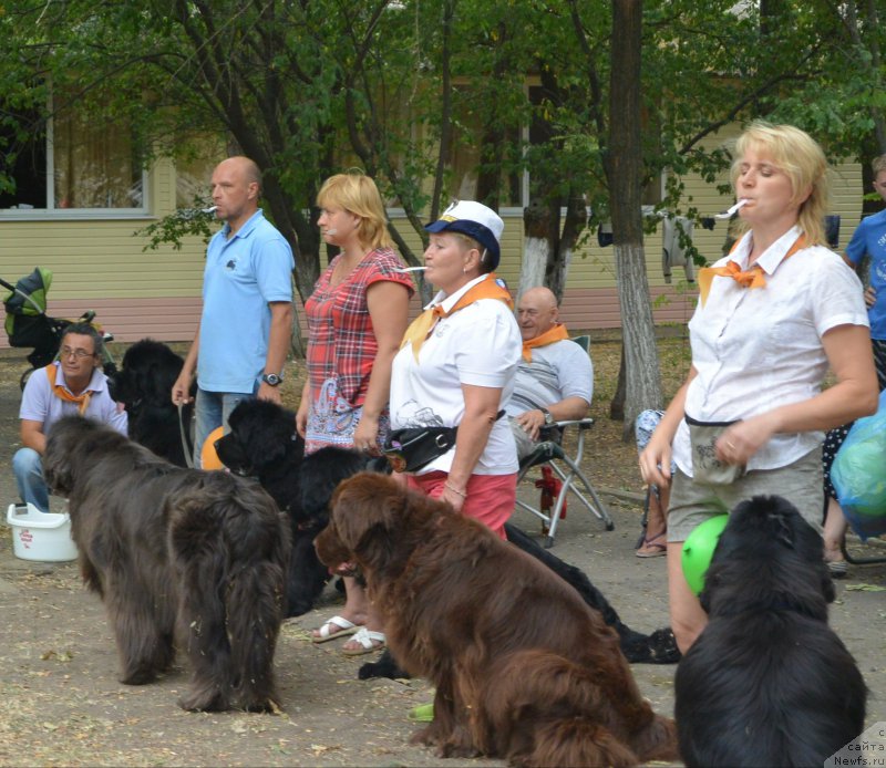 Фотография № 163805