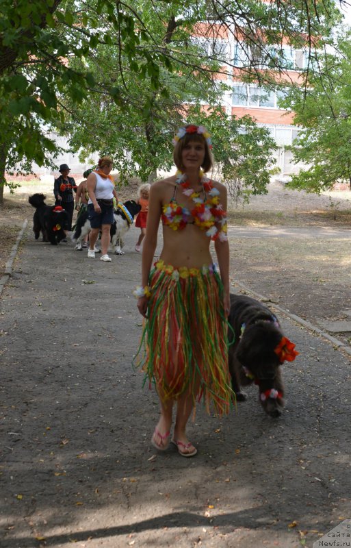 Фото: Анастасия Киреева, ньюфаундленд Дюрбахлер Клаб Альфаретта Виньетта