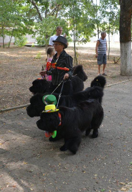 Фото: Елена Кузьмина, и ее питомцы