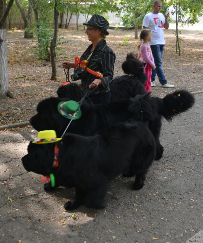 Фото: Елена Кузьмина, и ее Качующие Музыканты