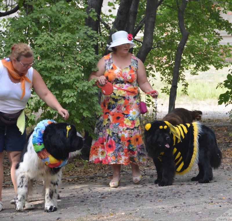 Фотография № 163828