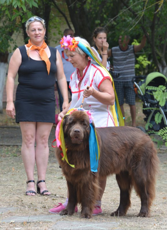 Фотография № 163830