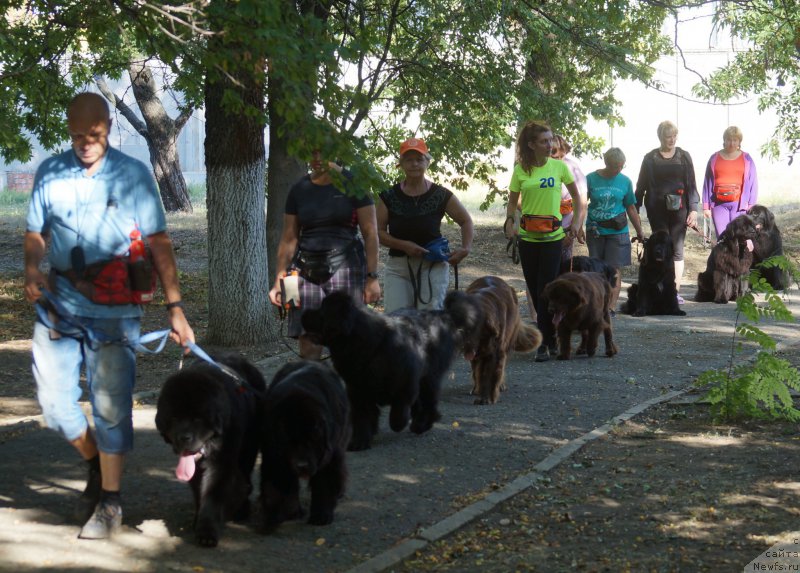 Фото: Маргарита Завацкова