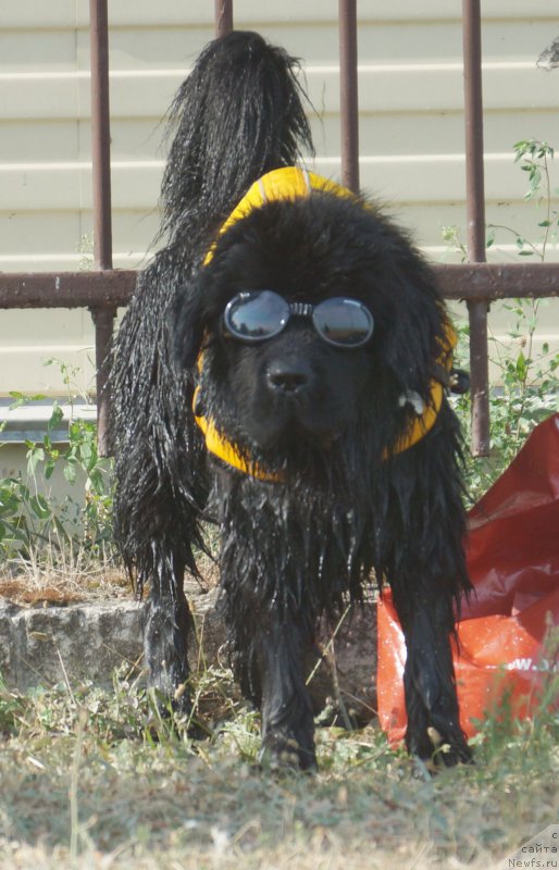 Фотография № 163845