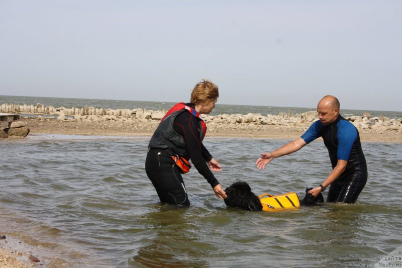 Фотография № 163854