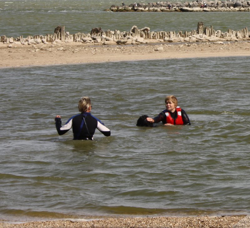 Фото: Елена Кузьмина, Маргарита Завацкова