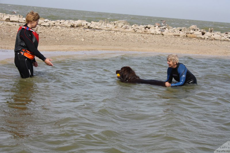 Фото: Маргарита Завацкова, Наталья Смазчикова, Фееричная Фортунатусси с Берега Дона (Feerichnaja Fortunatussi s Berega Dona)