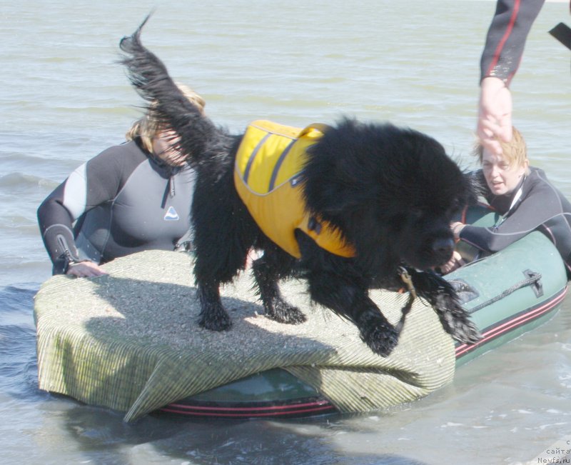 Фотография № 163865