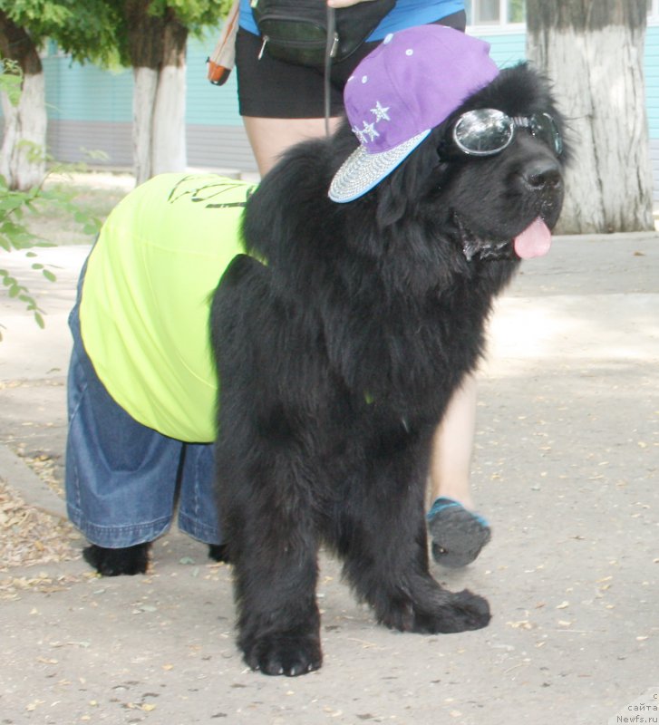 Фотография № 163866