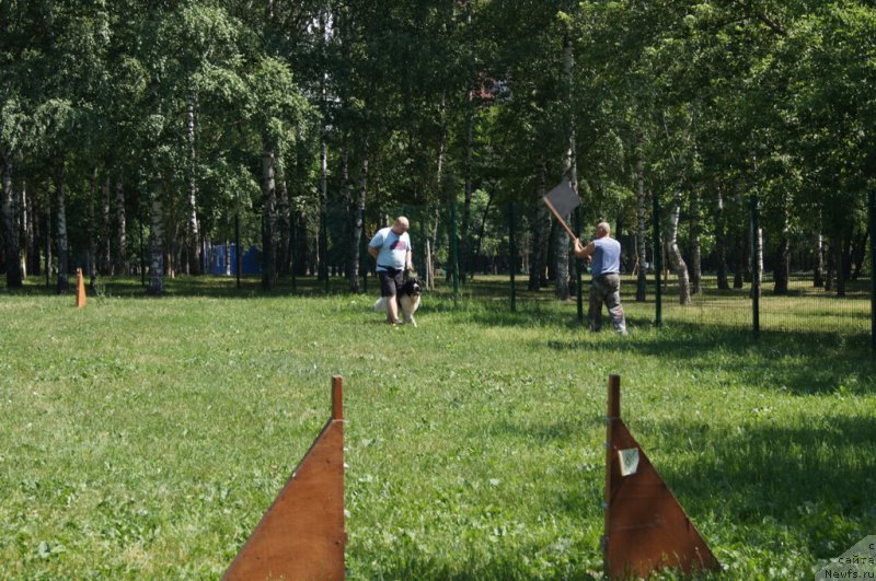 Фотография № 163883