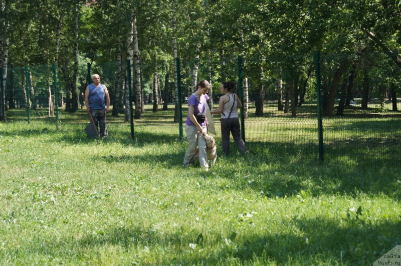 Фотография № 163890