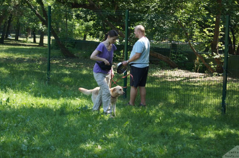 Фото: Алла Липовицкая, Кики