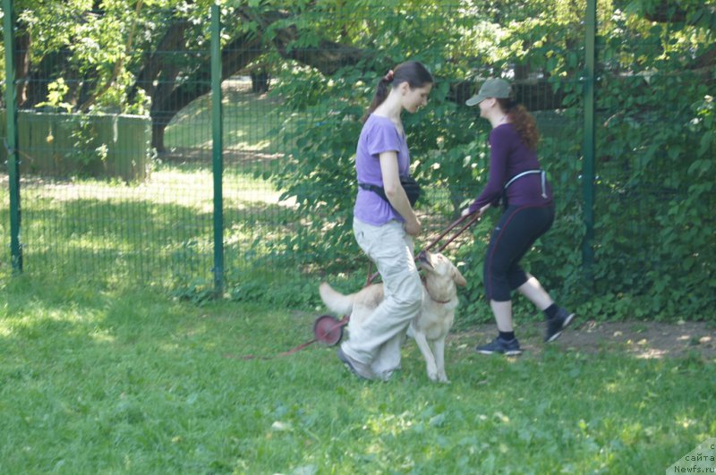 Фотография № 163892