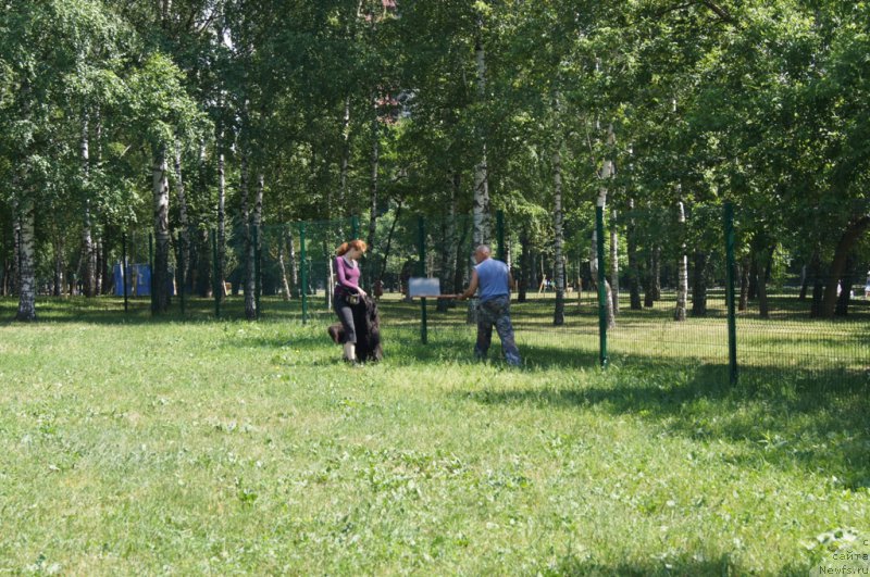 Фотография № 163893