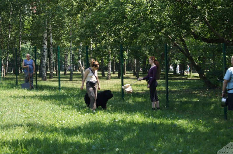 Фотография № 163900