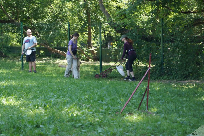 Фотография № 163905