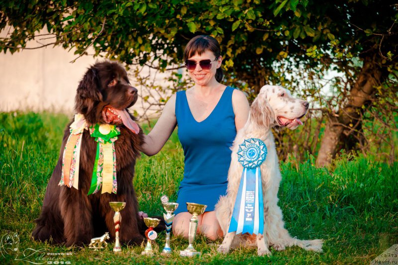 Фото: ньюфаундленд Анджело Орсо Айрин